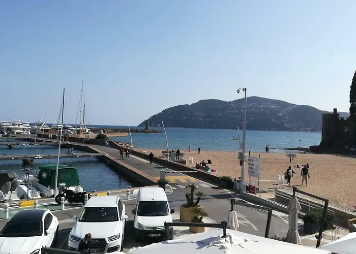 Tranquille Dans La Cite Du Mimosa - 2 Etoiles - Axelle Loc'appart 펜션