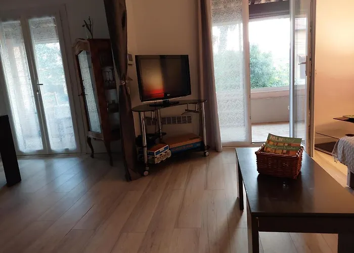 Tranquille Dans La Cité Du Mimosa - 2 étoiles - Axelle Loc'appart Hébergement de vacances Mandelieu