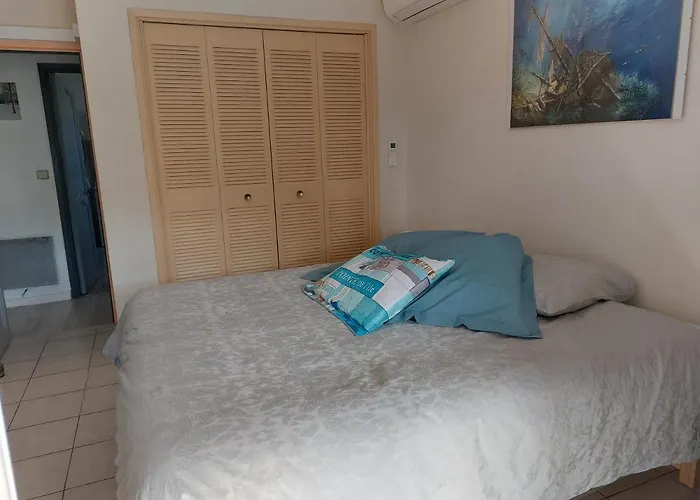 Tranquille Dans La Cité Du Mimosa - 2 étoiles - Axelle Loc'appart Hébergement de vacances