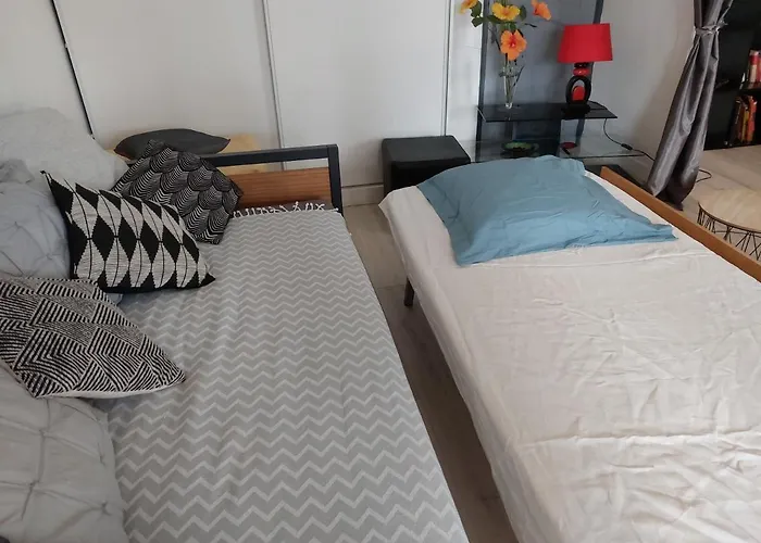 Hébergement de vacances Tranquille Dans La Cité Du Mimosa - 2 étoiles - Axelle Loc'appart Mandelieu