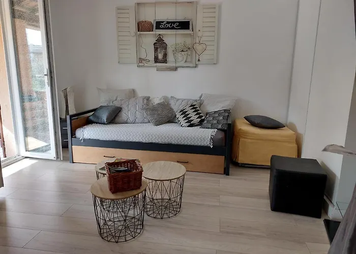 Tranquille Dans La Cité Du Mimosa - 2 étoiles - Axelle Loc'appart Mandelieu